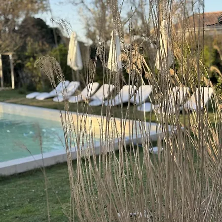 Maison Mercy - D'hotes 게스트하우스 Saint-Gervais (Gironde)